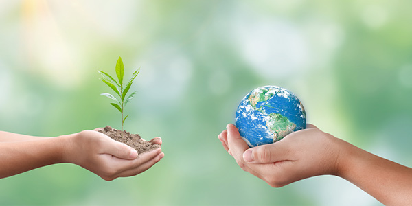 Sustainability Initiatives