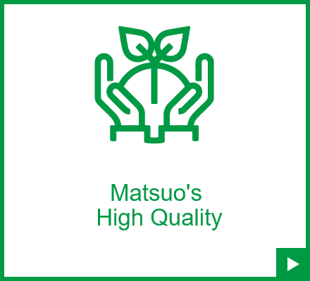 品質の松尾電機